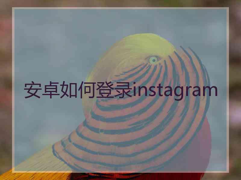 安卓如何登录instagram