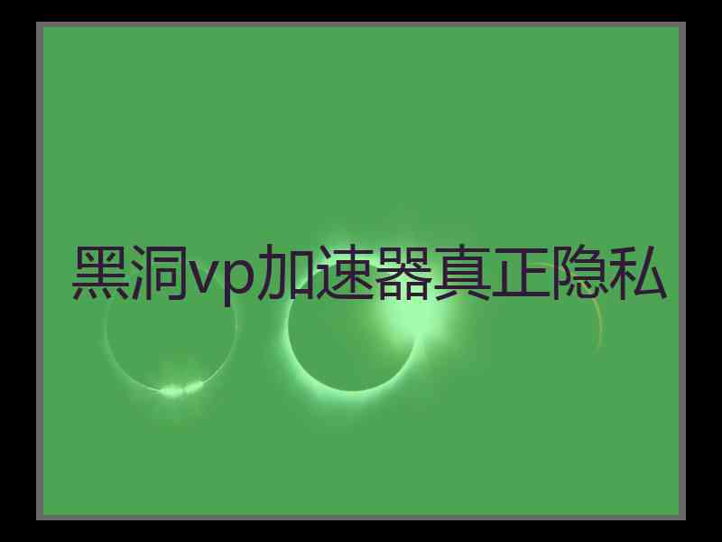 黑洞vp加速器真正隐私