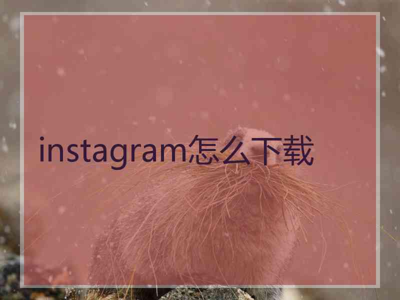 instagram怎么下载