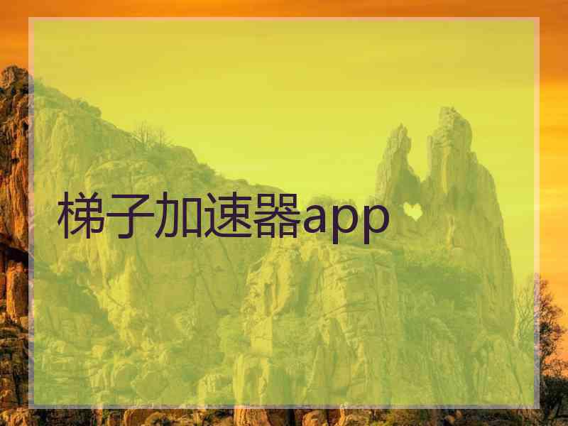 梯子加速器app